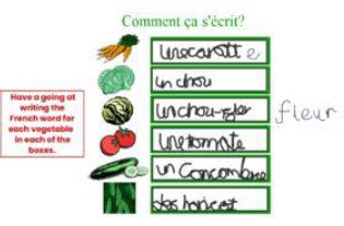 modern foreign languages